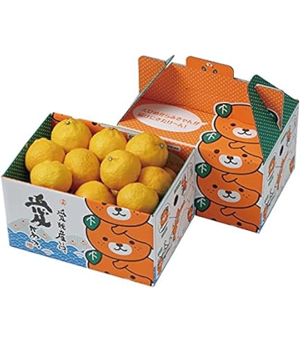 Amazon.co.jp: 希望の島 媛小春 家庭用 サイズ込 愛媛 中島産 みかん